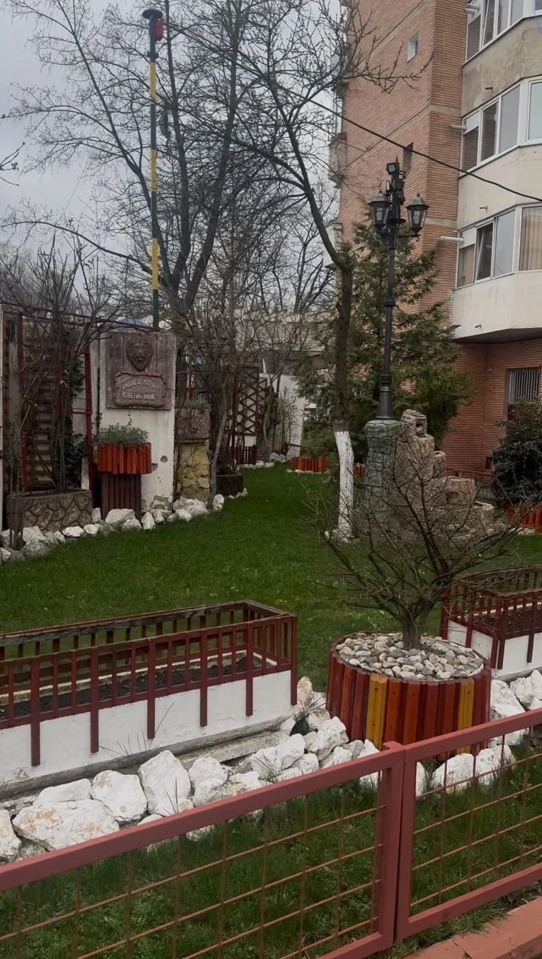 Imagine galerie articol