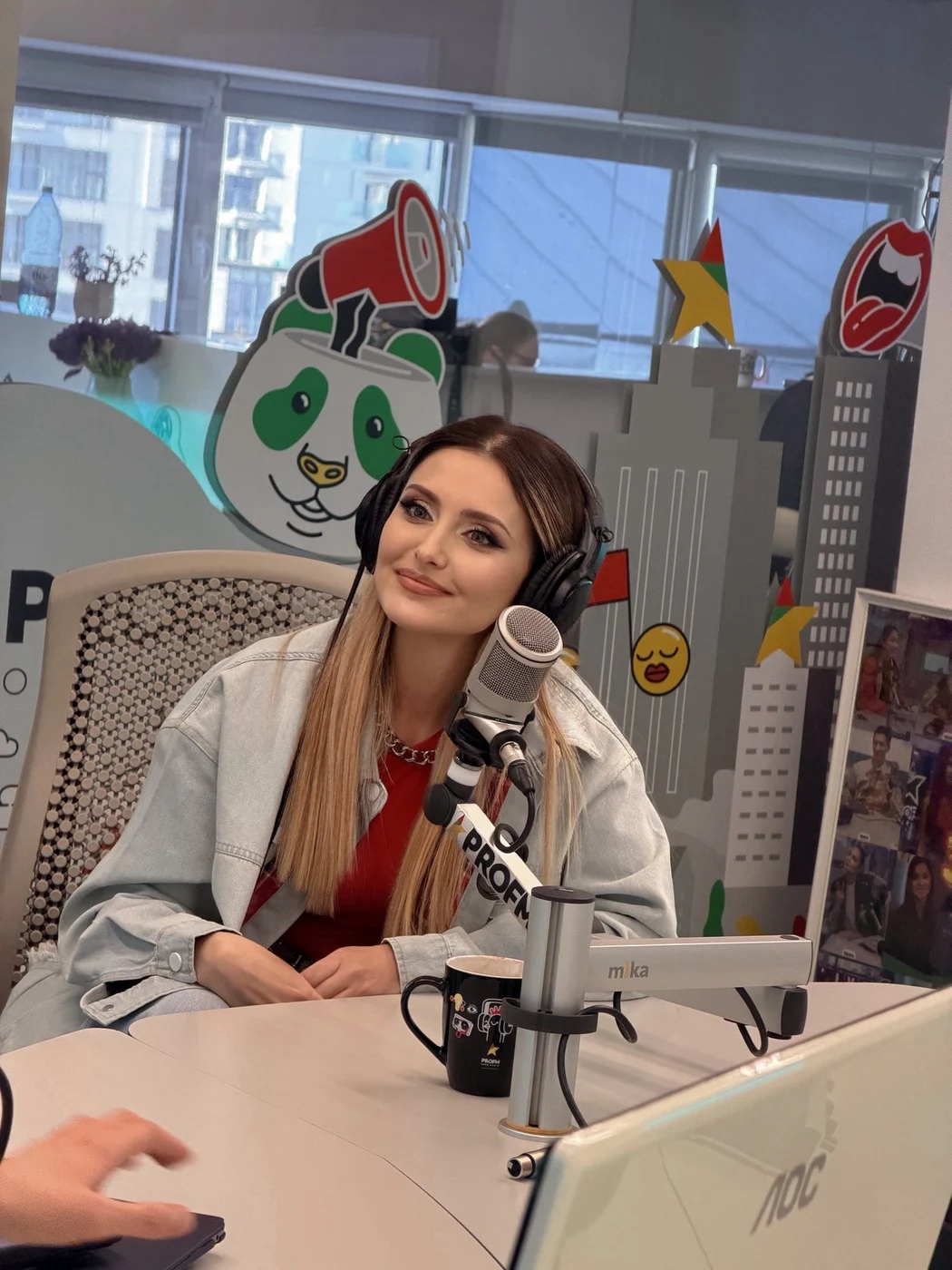 Imagine galerie articol