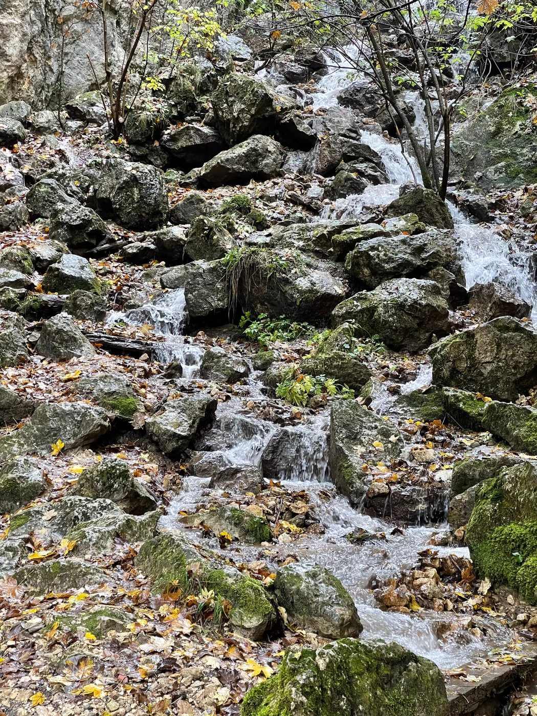 Pietrele lui Solomon / Braşov