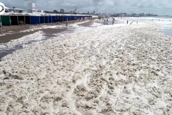 Fenomen rar întâlnit în apele oceanului Atlantic din Argentina. Ce au văzut turiștii pe plajă / VIDEO