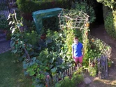 Un tânăr de 18 ani a revoluționat grădinăritul. Cum să obții în cel mai simplu mod roșii, salată și ierburi aromatice la tine acasă
