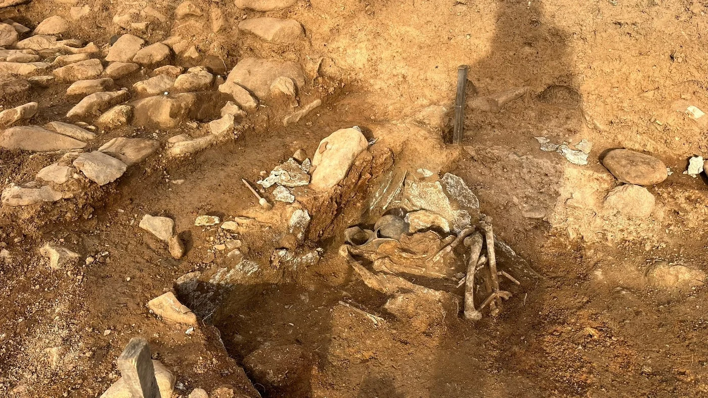 Osemintele au fost descoperite pe platoul Dumbravă din Bârsești