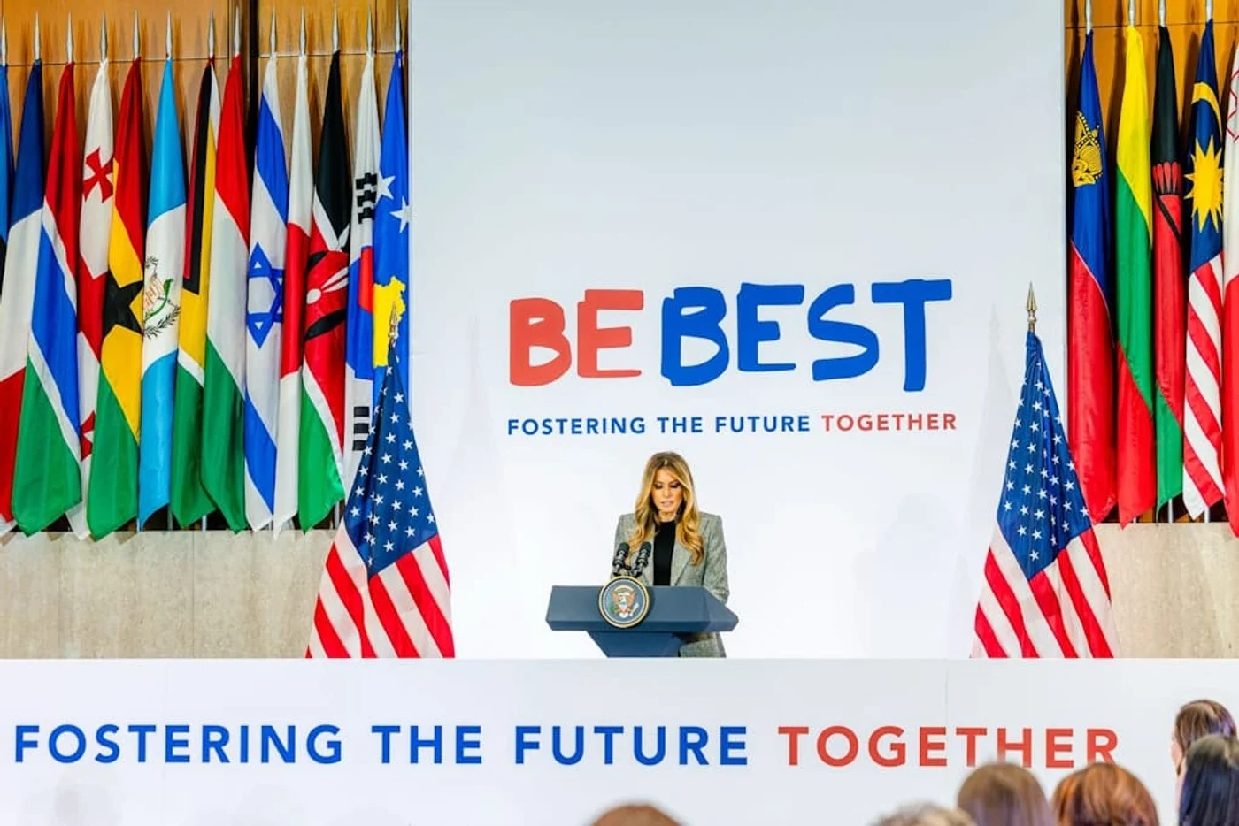 Imagine galerie articol