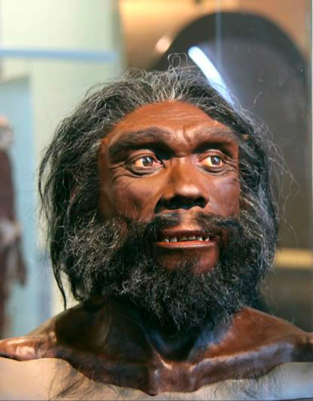 Homo Heidelbergensis, simulare aspect