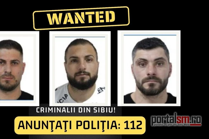 Cine sunt cu adevărat criminalului milionarului Adrian Kreiner. „Olteanu”, „Pușcărie” și Ghiță sunt văzuți ca familiști