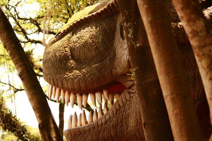 Cum arăta prădătorul feroce care cutreiera pământul ca să vâneze dinozaurii FOTO