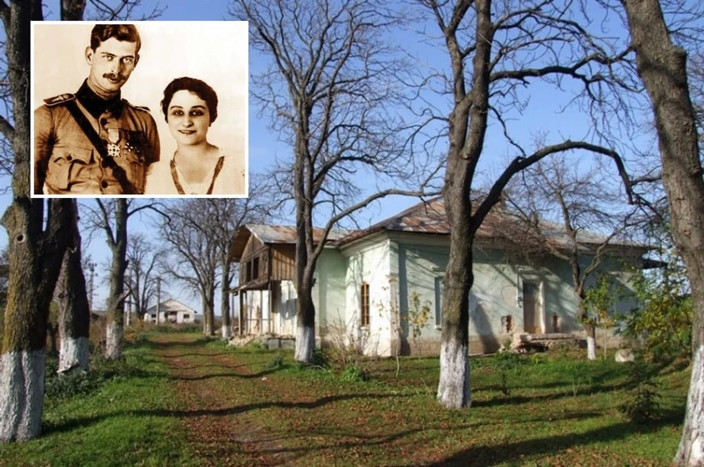 Imagine galerie articol