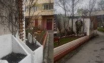 Colțul de Rai din spatele unui bloc din Brașov. Cum a putut transforma un locatar un petec de pământ VIDEO/FOTO