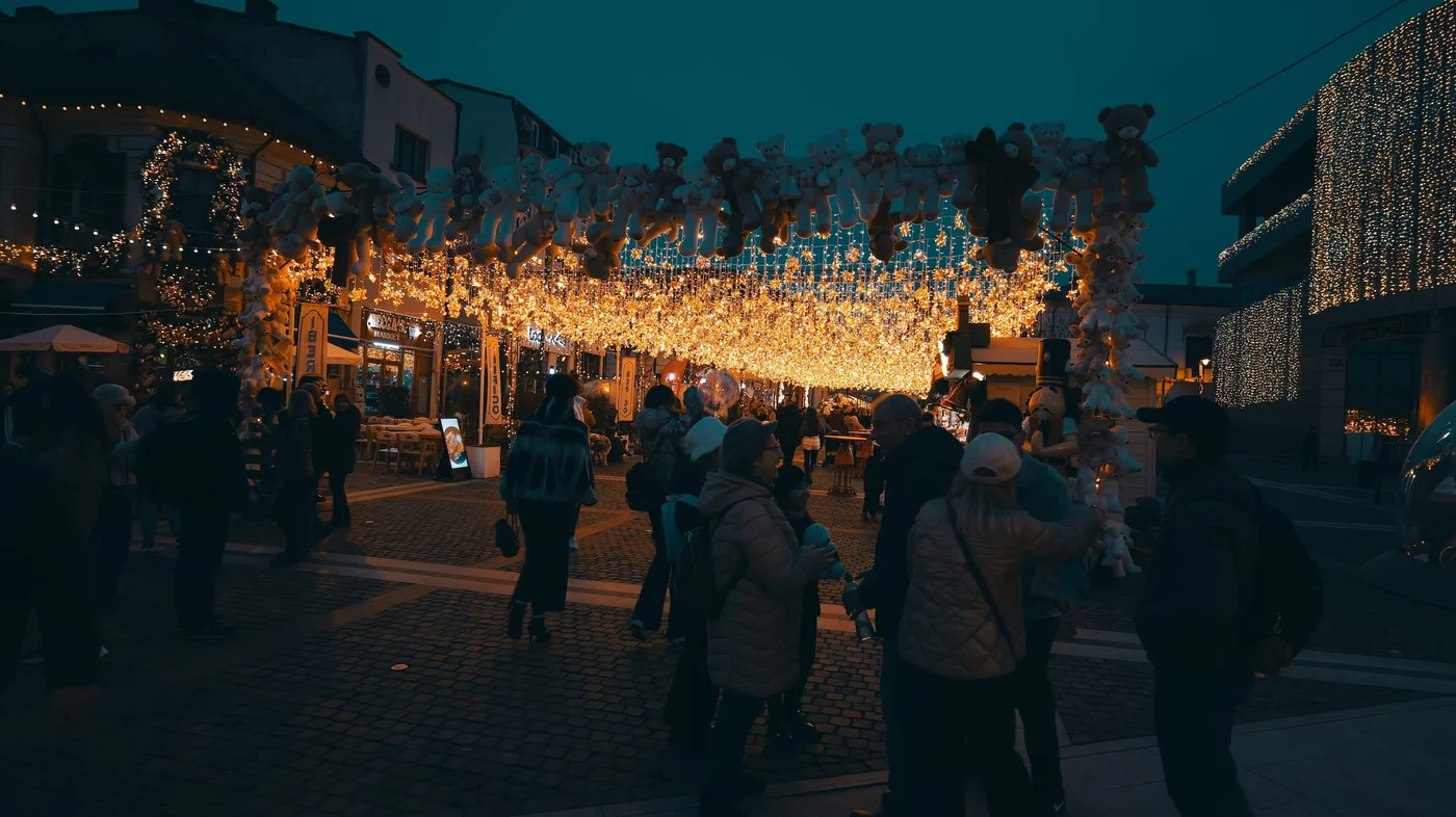 Imagine galerie articol