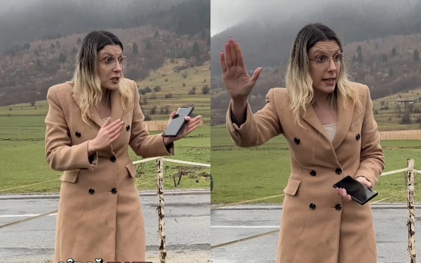  Ministrul Mediului, Diana Buzoianu. Foto: captură video Facebook