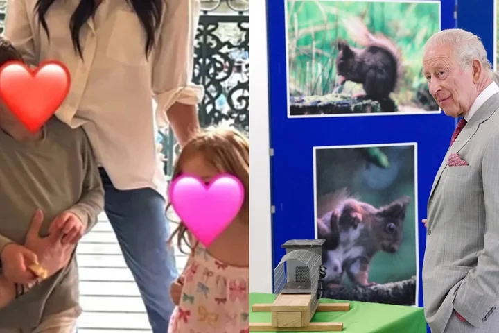 Condiția impusă de Regele Charles a-i vedea pe Archie și Lilibet, copiii Prințului Harry