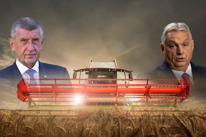 Au făcut bani din cerealele Ucrainei. Cum s-au intersectat în România afacerile din jurul lui Andrej Babiš și Viktor Orbán