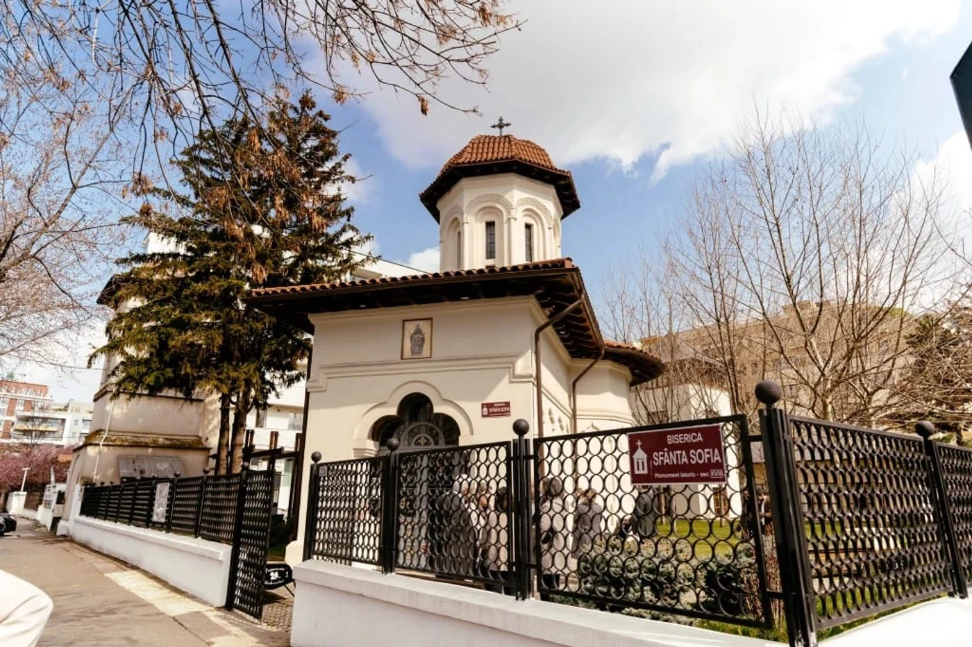 Imagine galerie articol