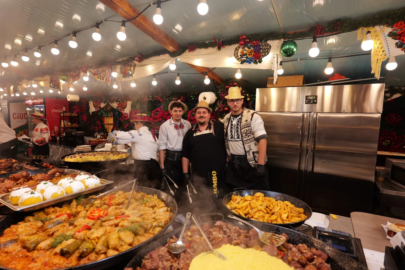 Imagine galerie articol