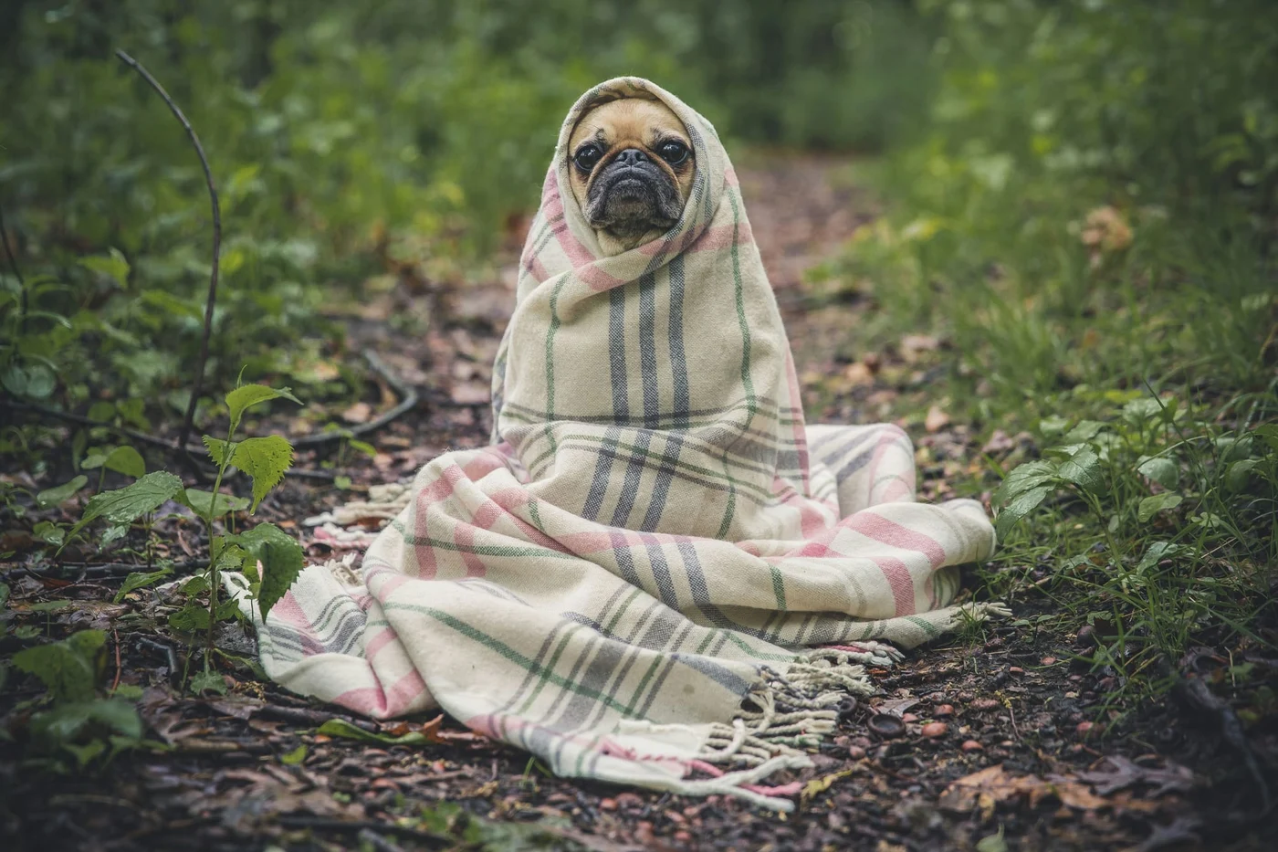 Photo by Matthew Henry / Unsplash