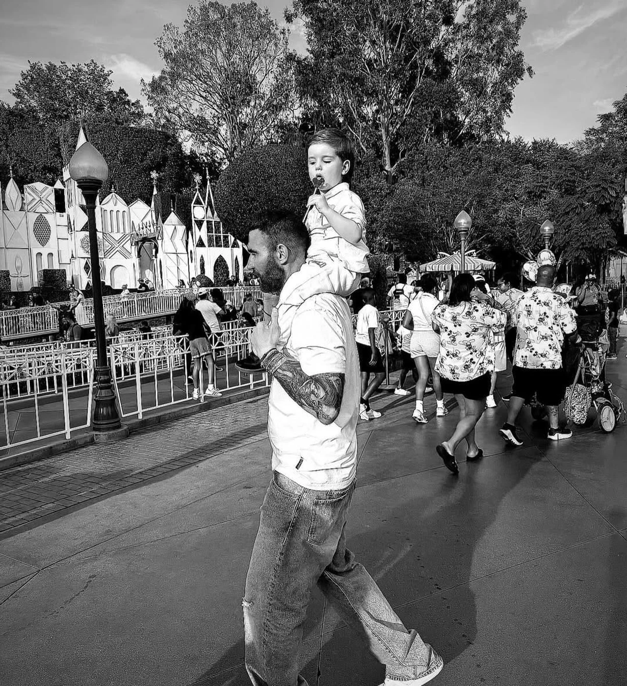 Imagine galerie articol