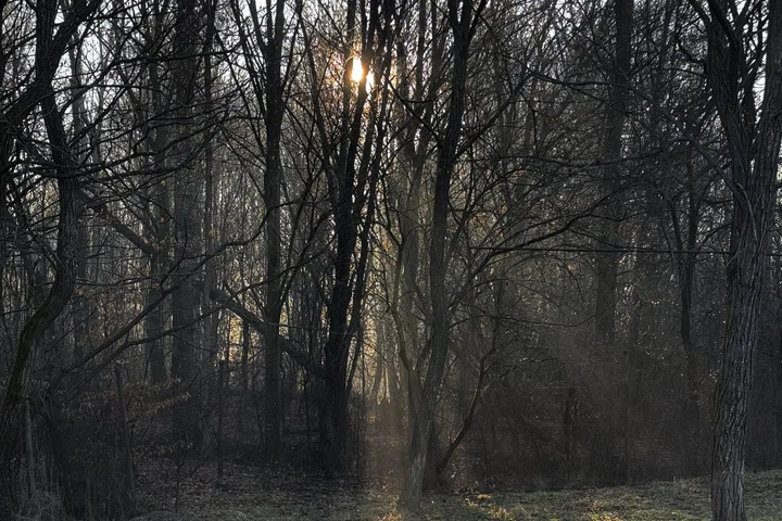 Prognoza meteo pentru weekend: vânt în sud-est și ploi slabe în aproape toată țara