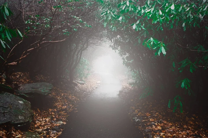 Portalul 1:1:1 s-a deschis pe 1 ianuarie 2026. De ce această dată este considerată un moment-cheie