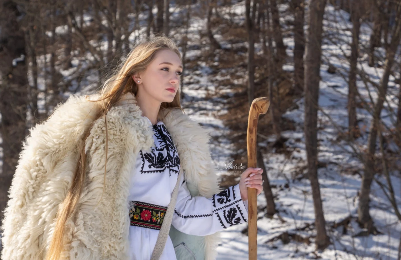 Imagine galerie articol