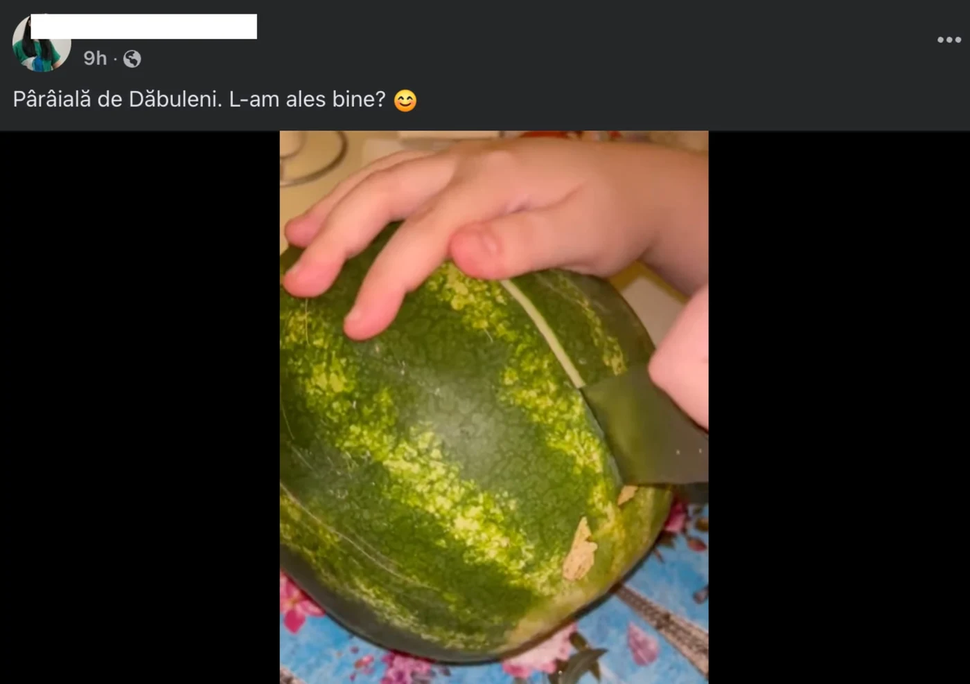 „Pârâială de Dăbuleni”. L-am ales bine? A scris femeia pe Facebook, după care a tăiat pepenele. Clipul a fost postat pe social media.
