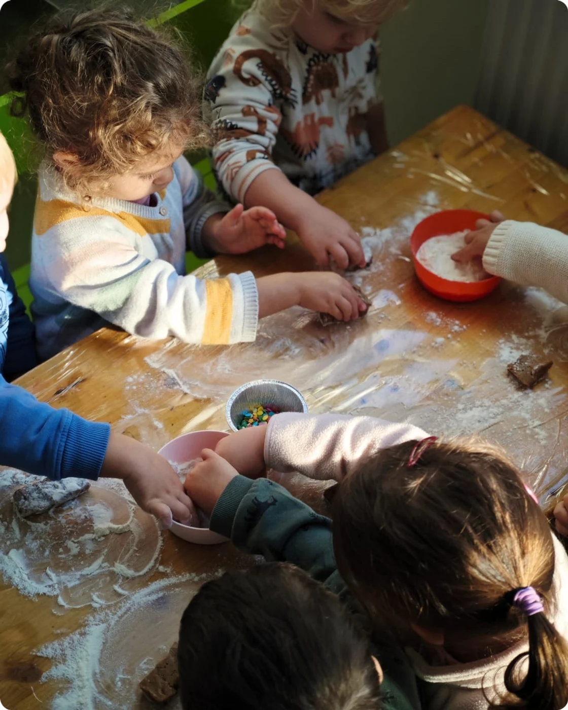 Imagine galerie articol