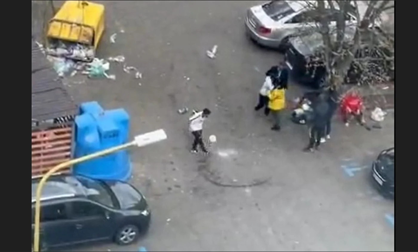 Imagine galerie articol