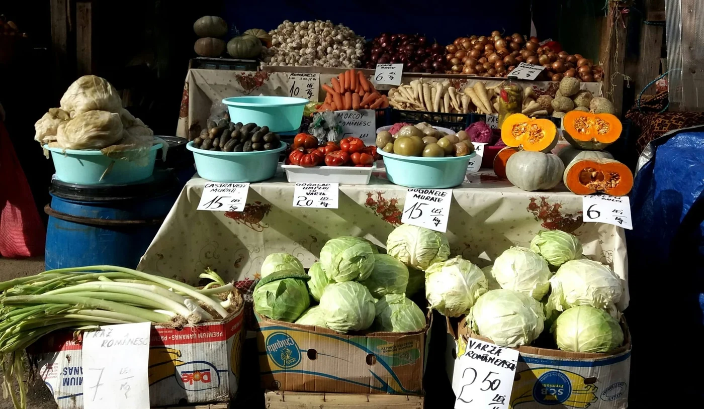 Photo by Rebecca Hausner / Unsplash