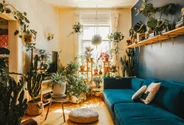 Ingredientul natural plin de calciu care ajută plantele să crească mai repede, ține solul sănătos și elimină dăunătorii. Se poate pune și în ghivece