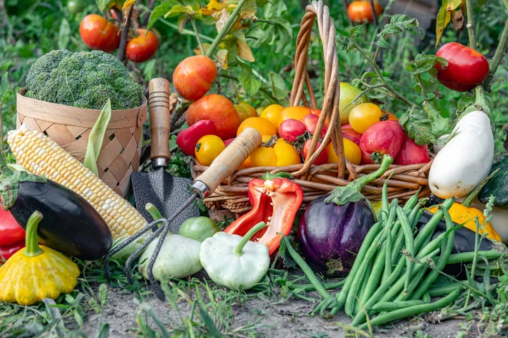 Toamna asta poți să ai o super recoltă de legume. Fă asta ca să ai o grădină bogată