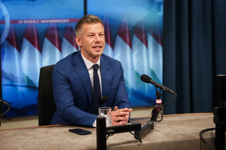 Fotografia care a stârnit rumoare la Budapesta. Péter Magyar îl critică dur pe președintele Tamás Sulyok chiar după o întâlnire oficială