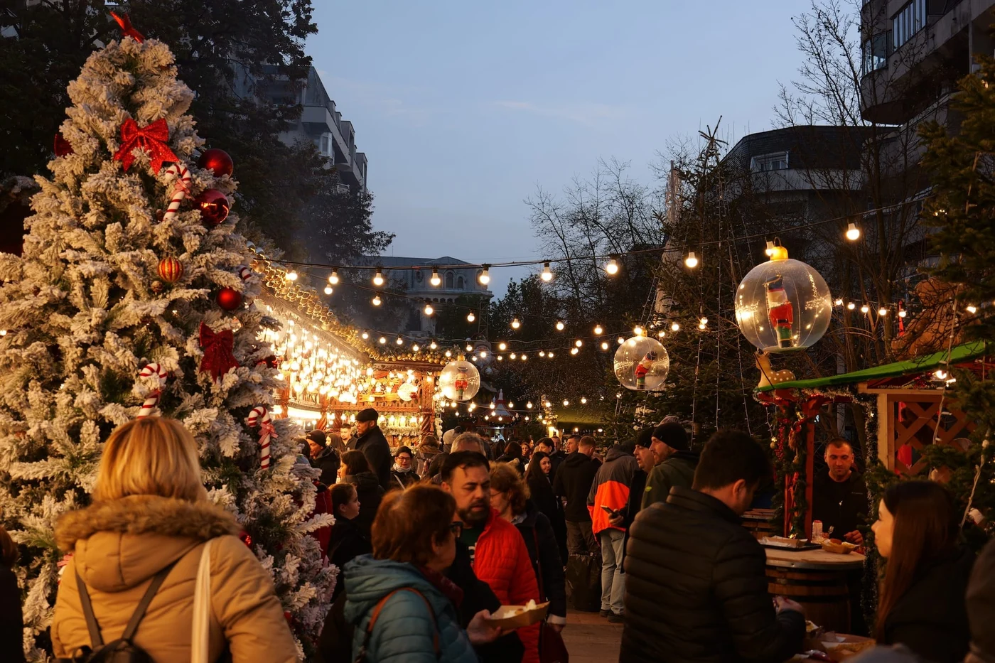 Imagine galerie articol