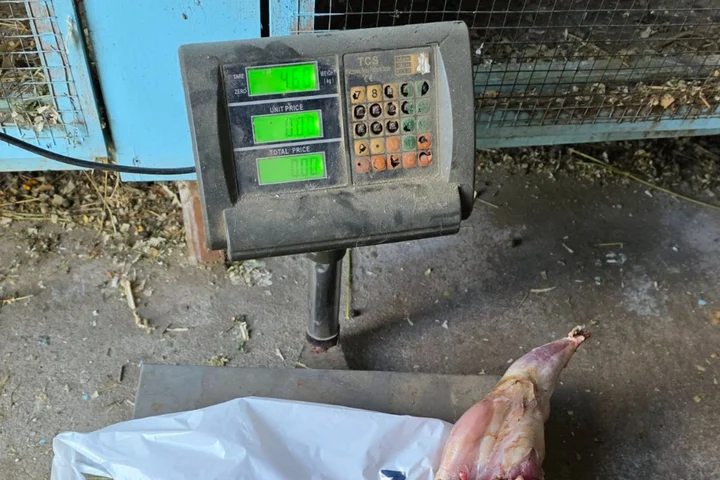 Postarea unui român din Focșani a împărțit internetul în două. Ai mânca așa ceva?: „Ai grijă cu Protecția Animalelor! Te lauzi că omori un ...”