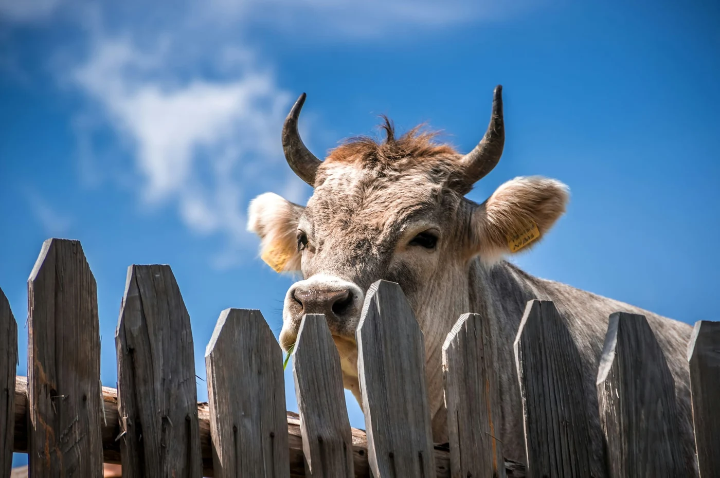 Photo by Patrick Baum / Unsplash
