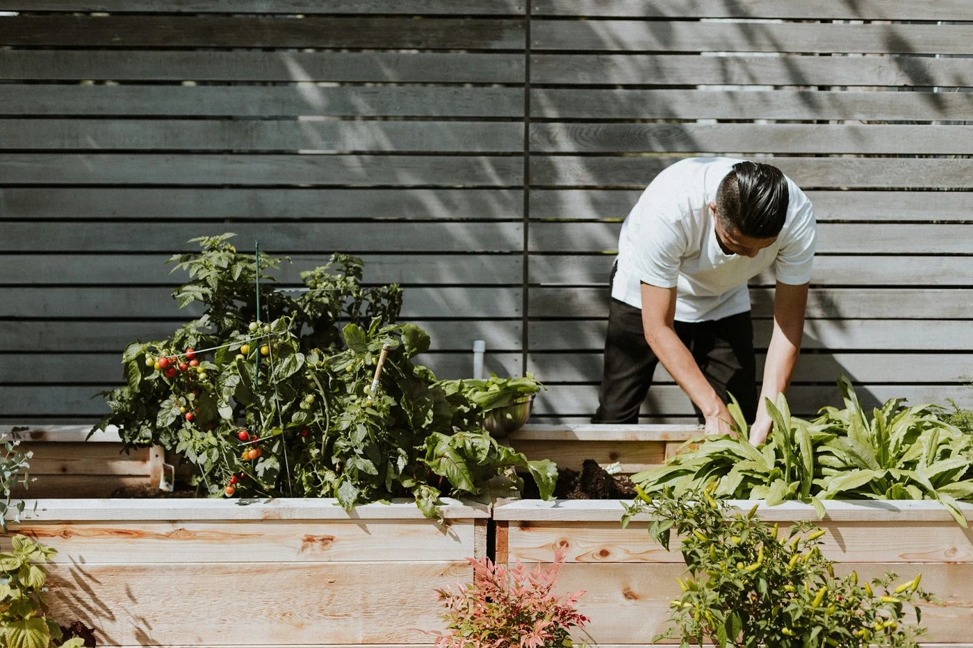 Pâinea poate fi un aliat bun în grădină. Sursa foto: Unsplash.com