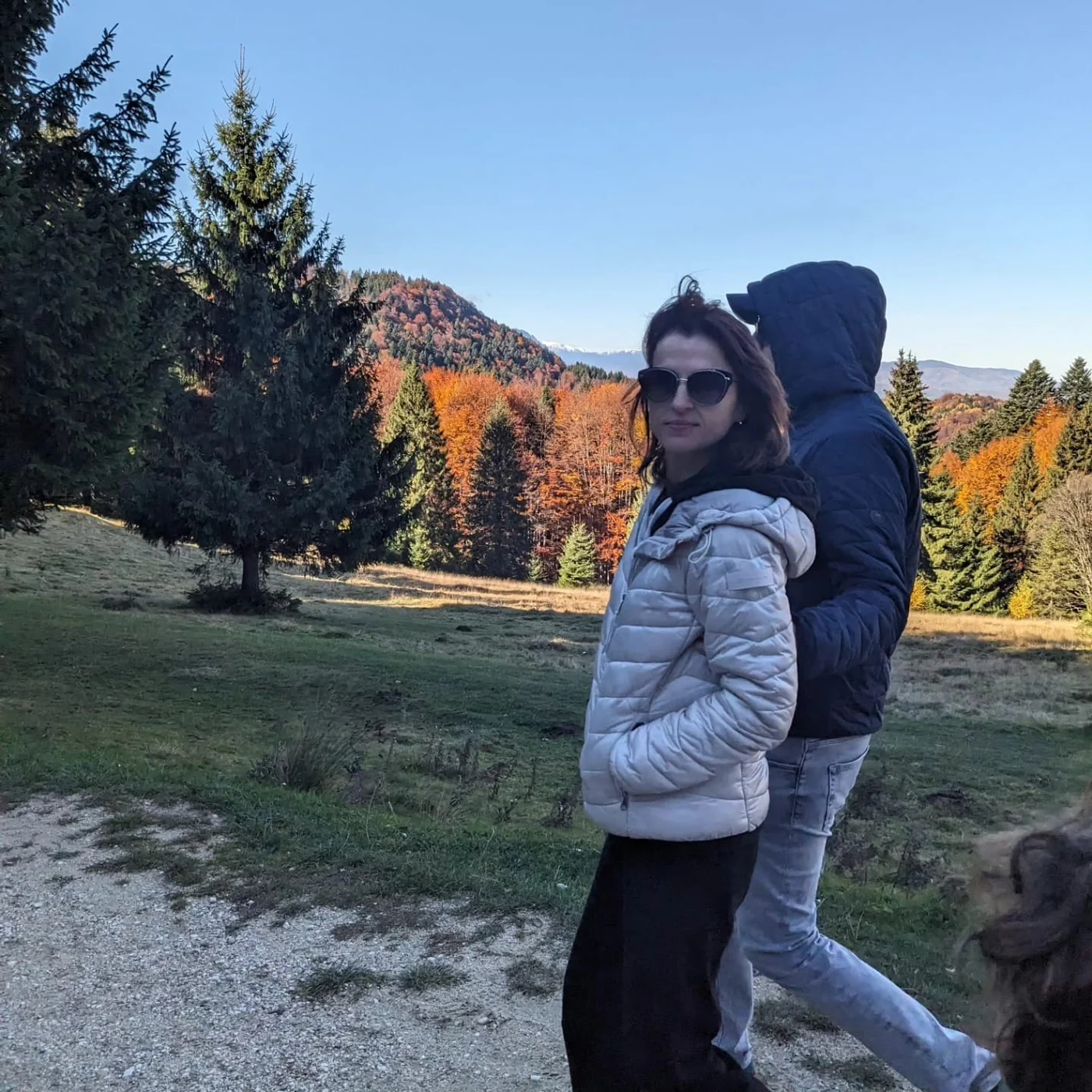 Imagine galerie articol