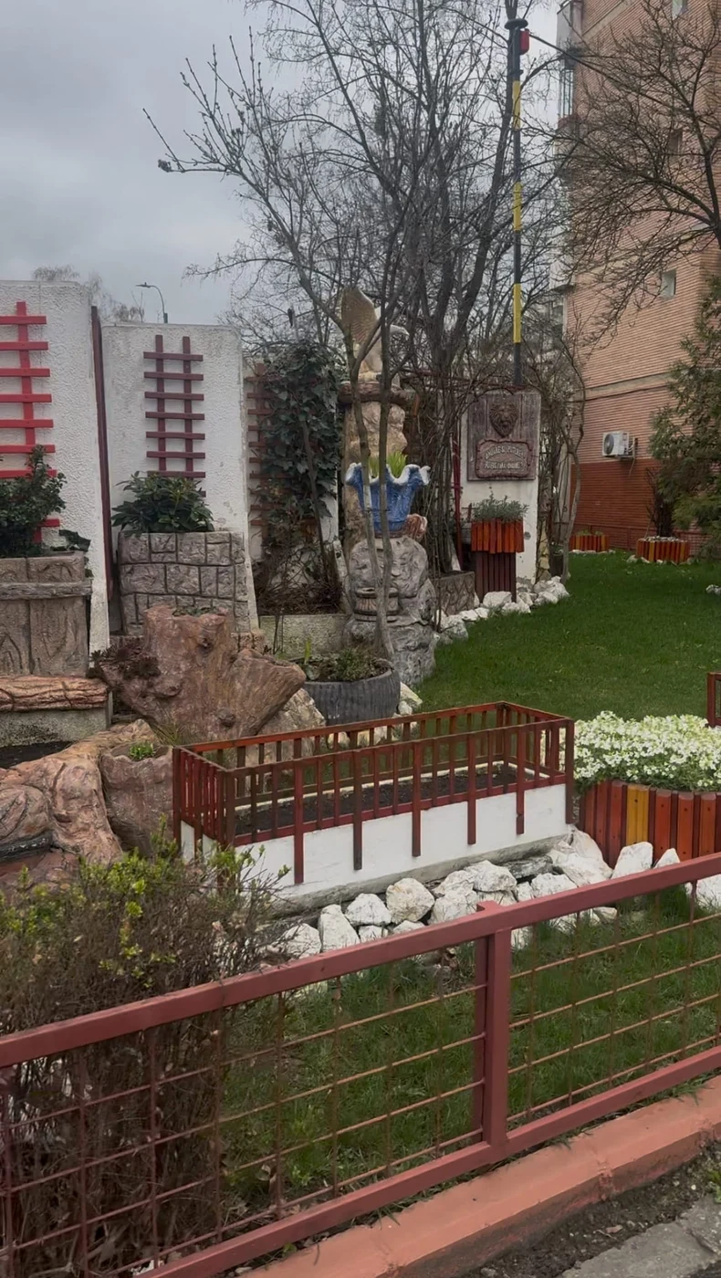 Imagine galerie articol