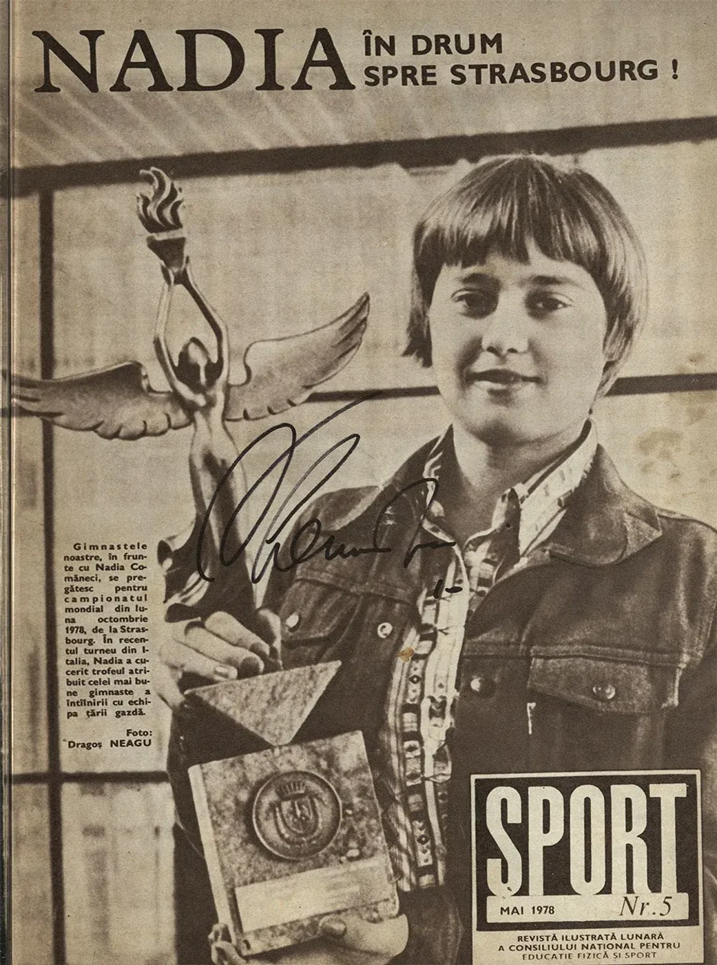 Imagine galerie articol