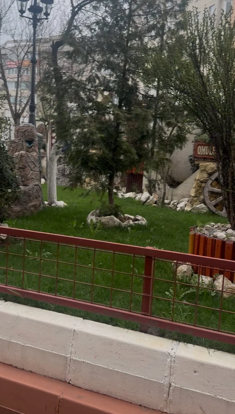 Imagine galerie articol