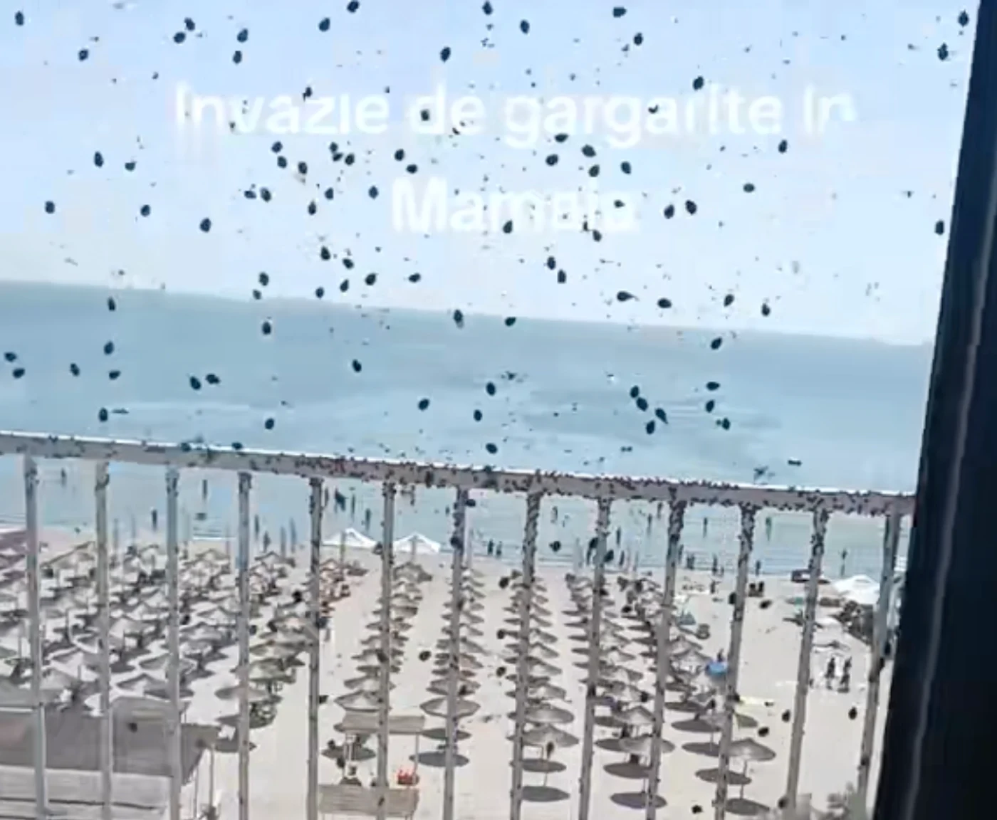 Imagine articol
