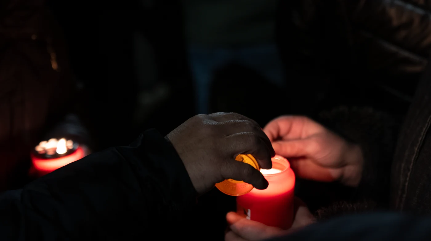 Imagine galerie articol