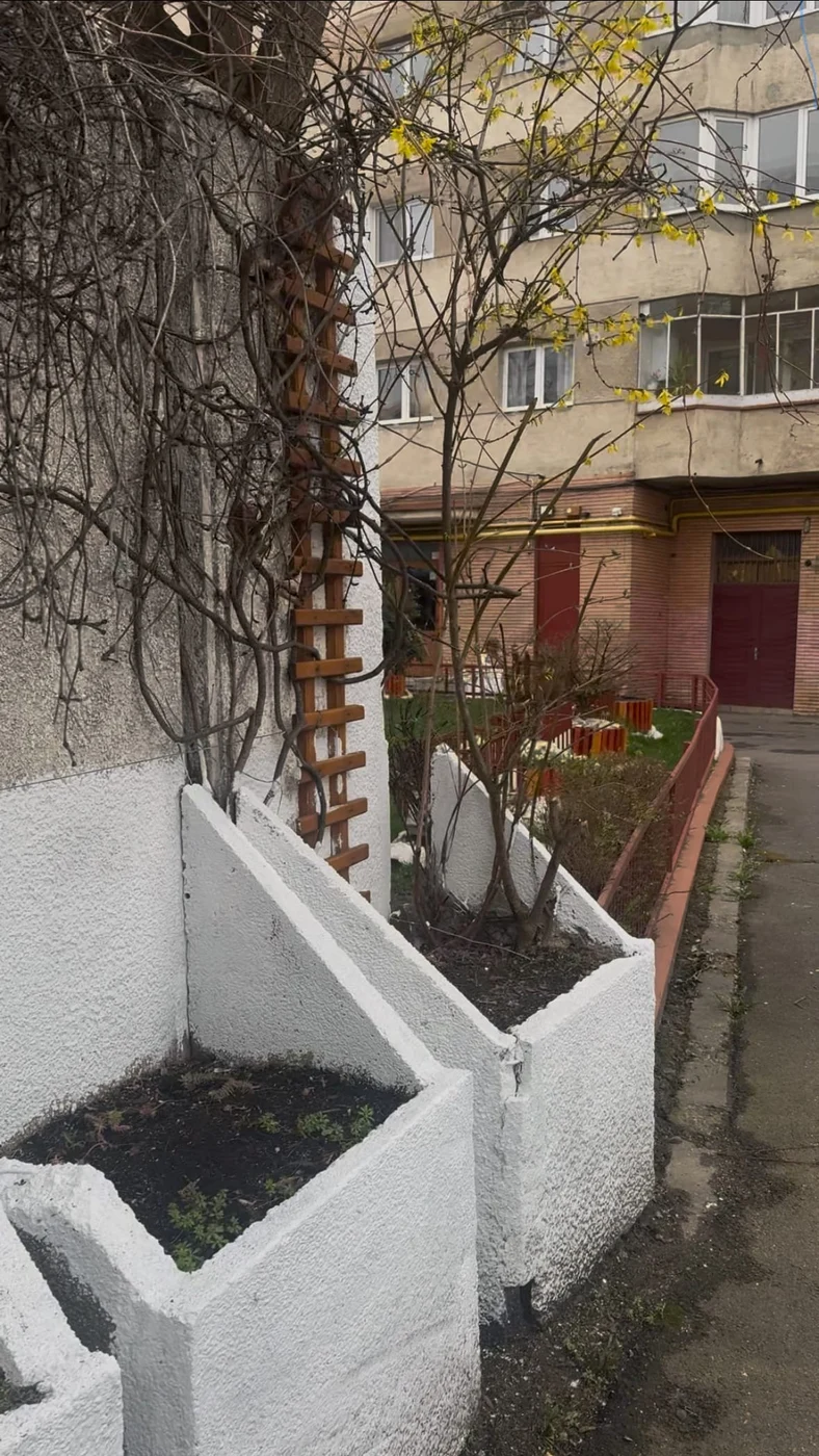 Imagine galerie articol