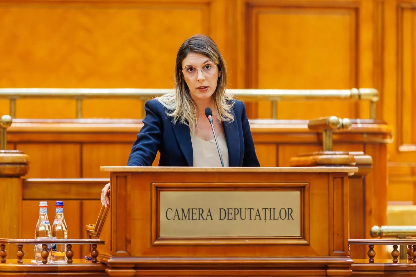 Diana Buzoianu