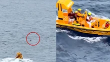 Fetiță de 5 ani căzută peste bord pe un vas de croazieră Disney: tatăl a sărit în apă după ea