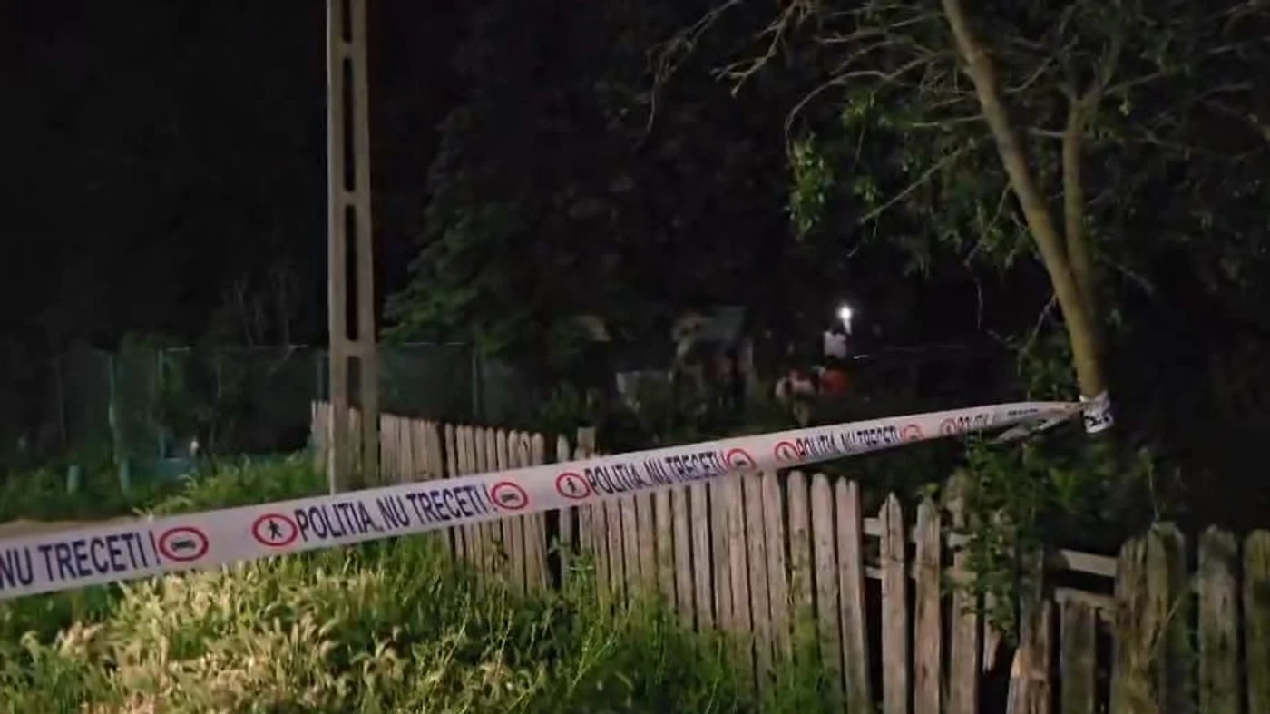 Imagine articol