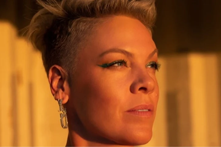 De ce a spus Pink că susținătorii lui Trump sunt o insultă asupra umanității