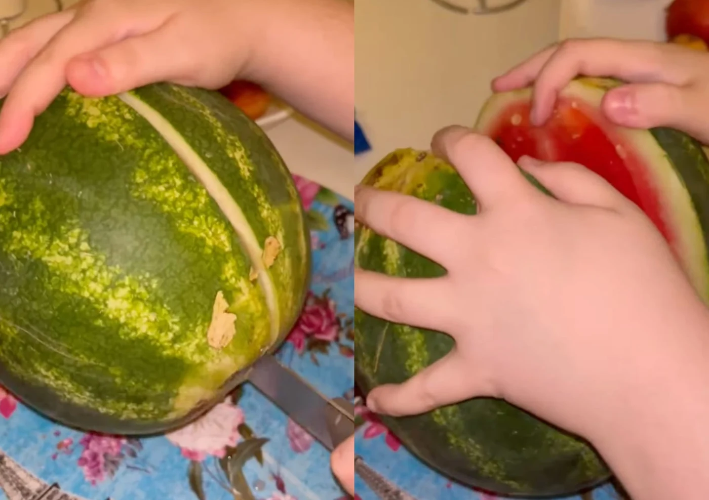 Pepenele de Dăbuleni părea copt și numai bun de mâncat
