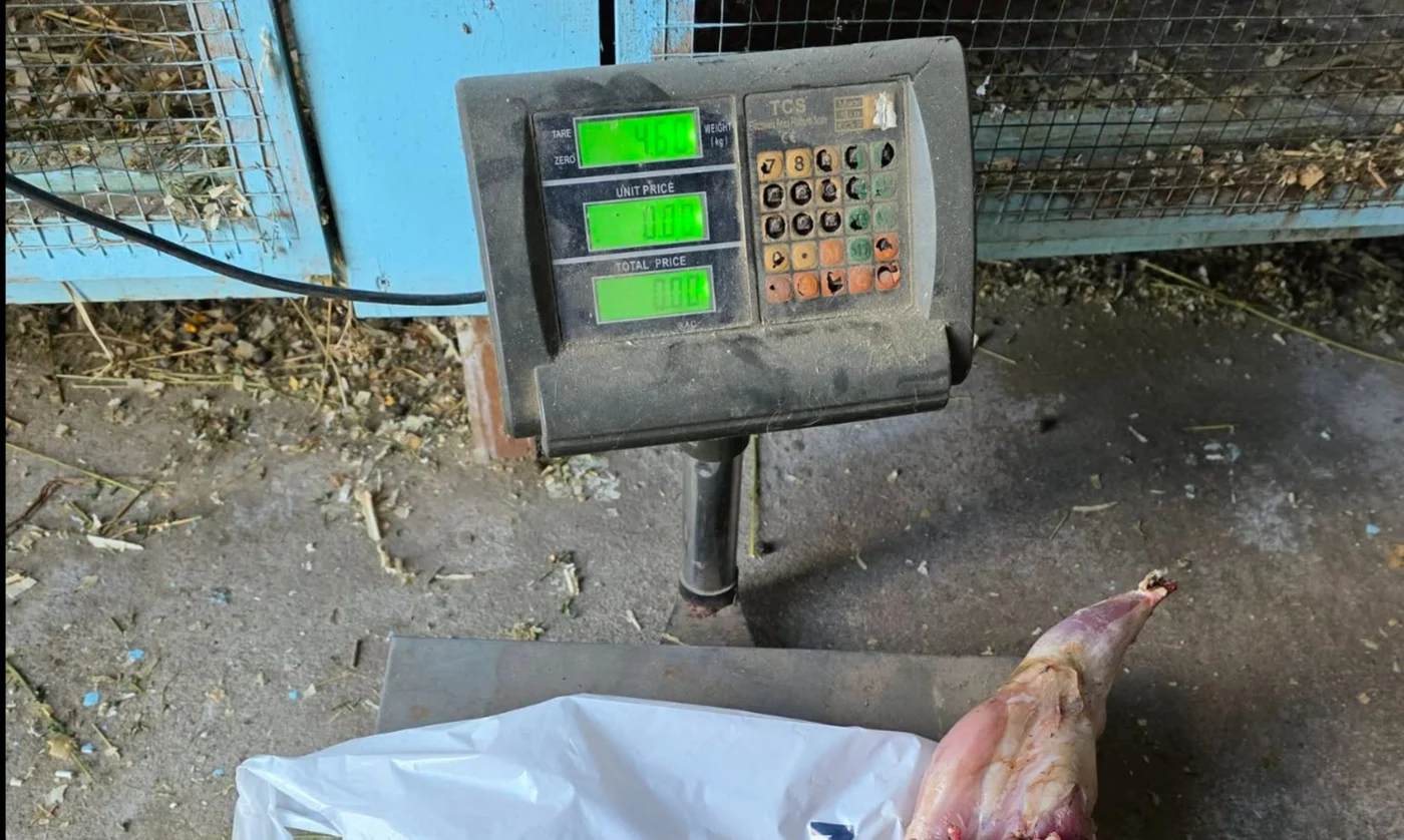 Iepurele în loc de miel. Dezbatere pe Facebook