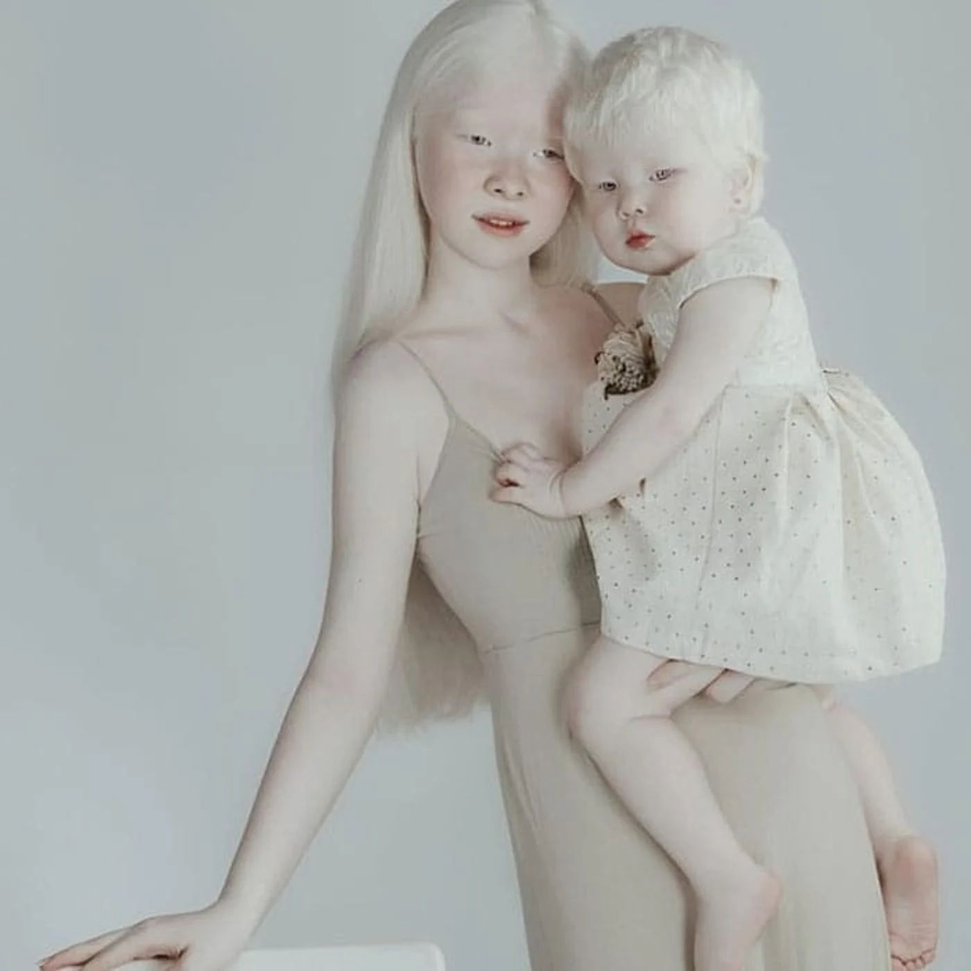 Imagine galerie articol