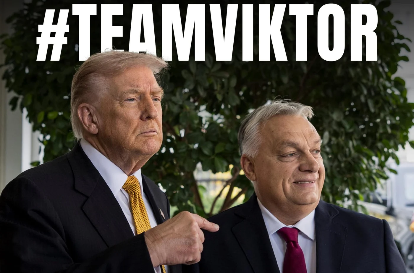 Trump îl susține pe Orban la alegeri