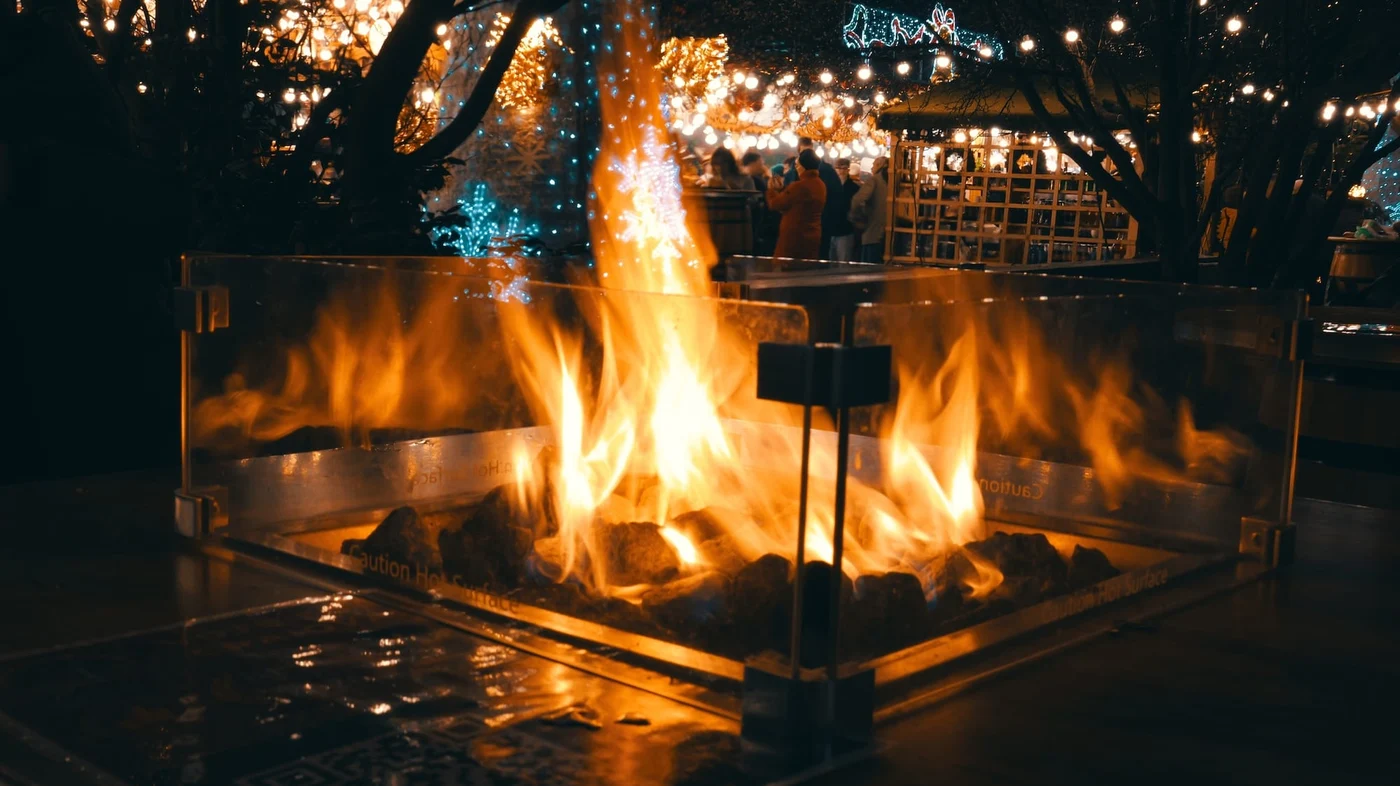 Imagine galerie articol